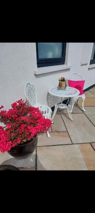 ويكلو Knockrobin Cottage المظهر الخارجي الصورة